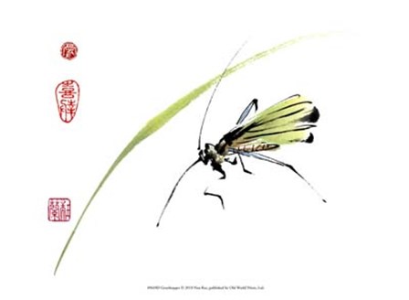 Grasshopper by Nan Rae art print