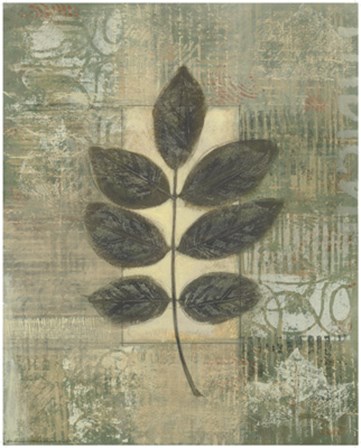 Leaf Textures II by Norman Wyatt Jr. art print