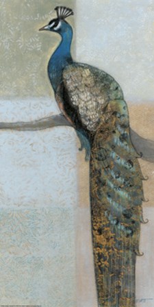 Resting Peacock II by Norman Wyatt Jr. art print