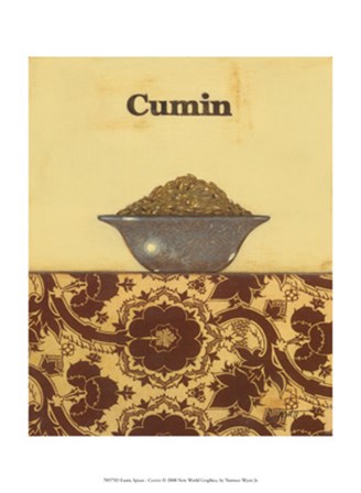 Exotic Spices - Cumin by Norman Wyatt Jr. art print