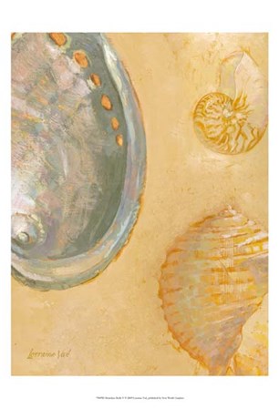 Shoreline Shells V by Lorraine Vail art print