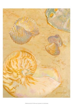 Shoreline Shells VI by Lorraine Vail art print