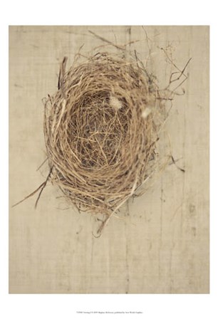Nesting I by Meghan Mcsweeny art print