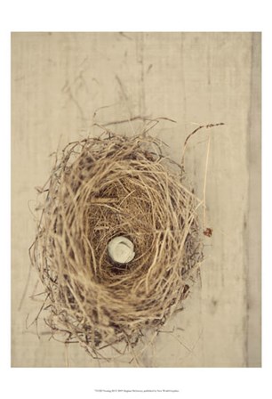 Nesting III by Meghan Mcsweeny art print