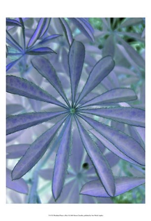 Woodland Plants in Blue I by Sharon Chandler art print