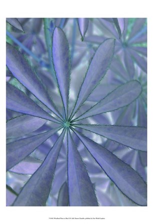 Woodland Plants in Blue II by Sharon Chandler art print