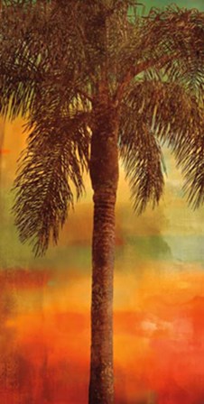 Sunset Palms I by John Seba art print