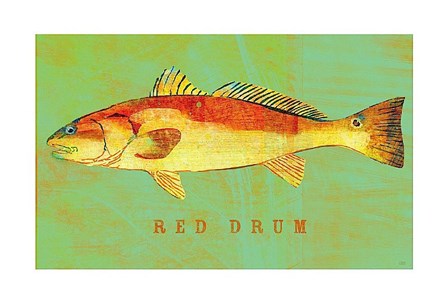 Red Drum by John W. Golden art print
