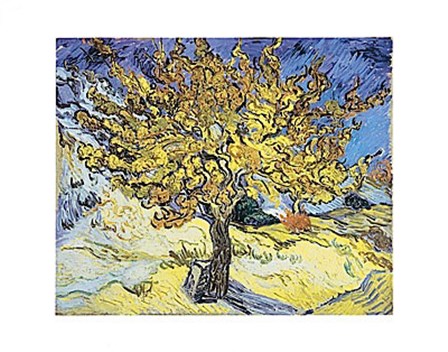 The Mulberry Tree, 1889 by Vincent Van Gogh art print