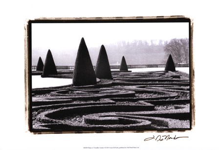 Palace of Versailles Garden I by Laura Denardo art print