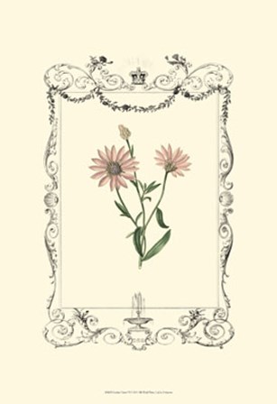 Garden Charm VI art print