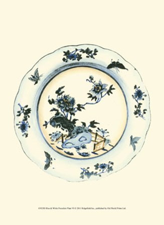 Blue &amp; White Porcelain Plate VI art print