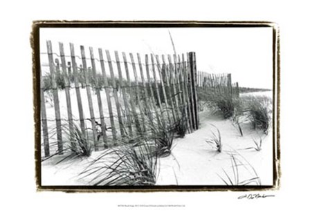 Beach Scape III by Laura Denardo art print