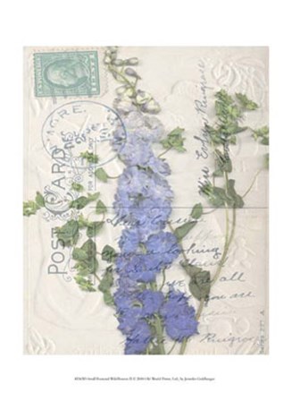 Small Postcard Wildflowers II by Jennifer Goldberger art print