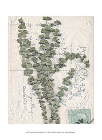 Small Postcard Wildflowers IV by Jennifer Goldberger art print