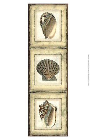 Small Rustic Shell Panel I by Vision Studio art print