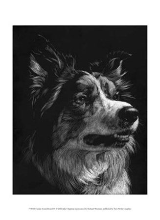 Canine Scratchboard IV by Julie Chapman art print