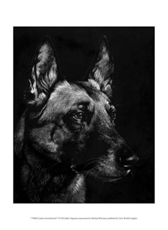 Canine Scratchboard V by Julie Chapman art print