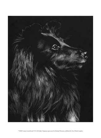 Canine Scratchboard VI by Julie Chapman art print