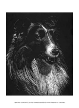 Canine Scratchboard VII by Julie Chapman art print