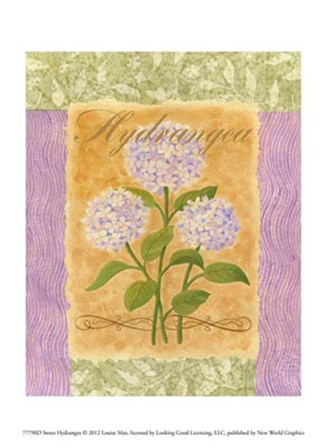Sweet Hydrangea by Louise Max art print