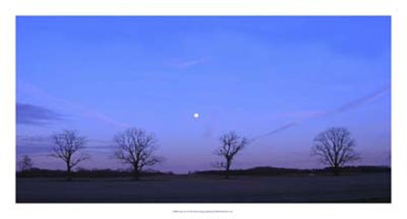 Moonrise by Alicia Ludwig art print