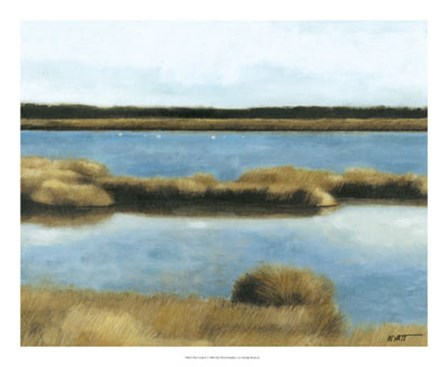 Wet Lands II by Norman Wyatt Jr. art print