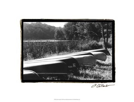 Lake Living II by Laura Denardo art print
