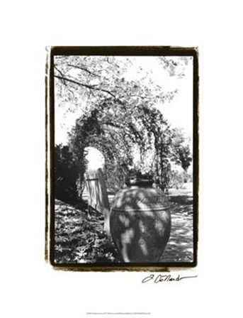 Garden Grace IV by Laura Denardo art print