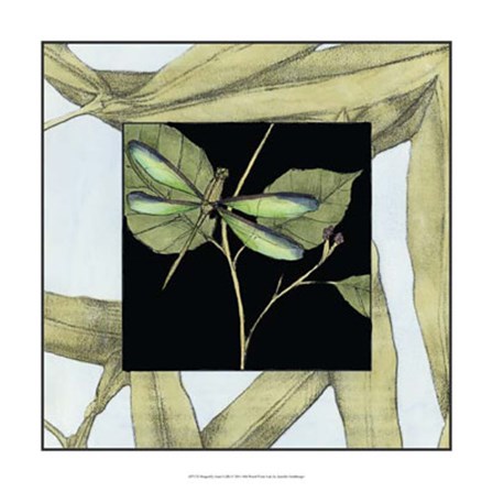 Dragonfly Inset I by Jennifer Goldberger art print