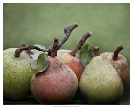 Comice Pears I by Rachel Perry art print