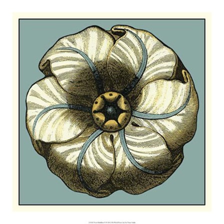 Floral Medallion IV by Vision Studio art print