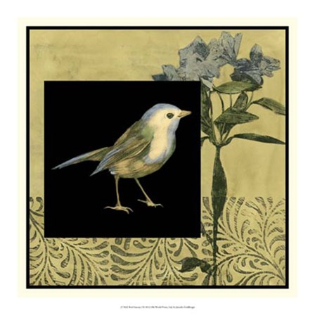 Bird Fantasy I by Jennifer Goldberger art print