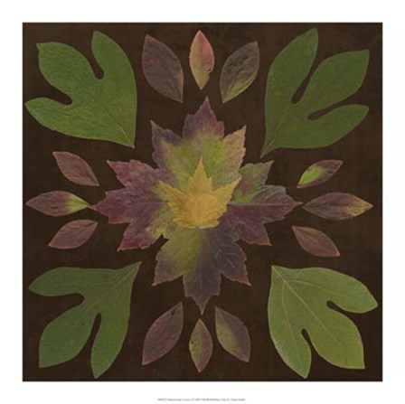 Kaleidoscope Leaves I by Vision Studio art print
