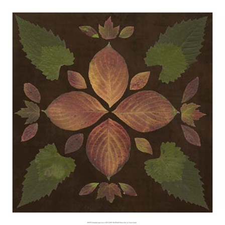 Kaleidoscope Leaves III by Vision Studio art print