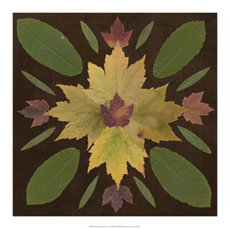 Kaleidoscope Leaves IV by Vision Studio art print