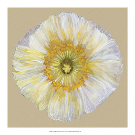 Poppy Blossom II by Alicia Ludwig art print