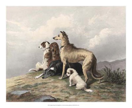 Highland Dogs by Sir Edwin Henry Landseer art print