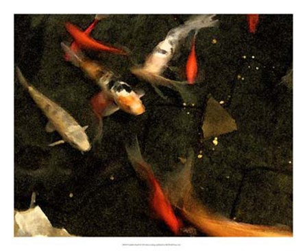 Goldfish Pond II by Alicia Ludwig art print
