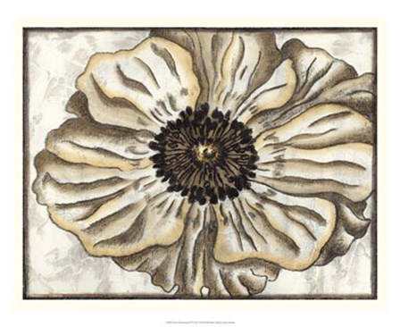 Fresco Flowerhead II by Nancy Slocum art print