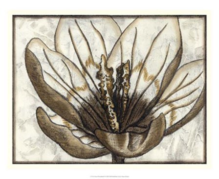 Fresco Flowerhead IV by Nancy Slocum art print