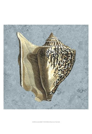 Stonewashed Shells VI by Vision Studio art print