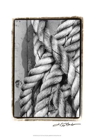 Tied Up I by Laura Denardo art print