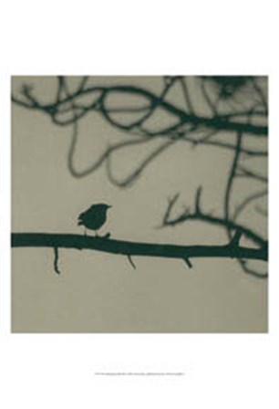 Caligraphy Bird II by Elena Ray art print