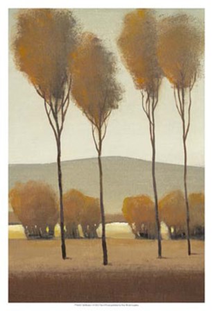 Tall Birches I by Timothy O&#39;Toole art print