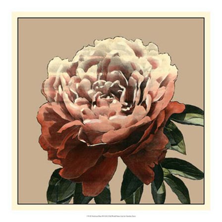 Heirloom Rose II by Chariklia Zarris art print