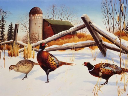 Pheasants II by Leo Stans art print