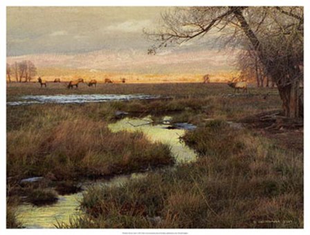 Elk &amp; Creek by Chris Vest art print