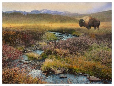 Bison &amp; Creek by Chris Vest art print