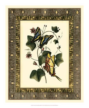 Leather Framed Butterflies II by Deborah Bookman art print